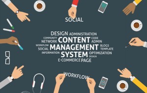 Content management system Baryons