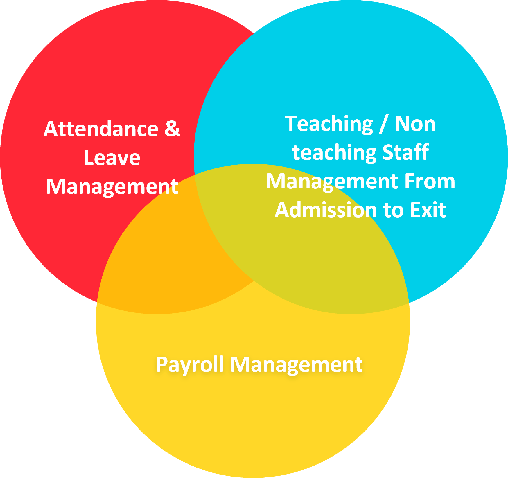 School Workforce Management Software | School Staff Management | School Teacher Management System